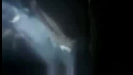 New Moon Trailer