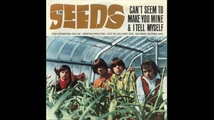 The Seeds - Pushin' Too Hard