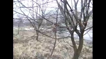 Газ 69 