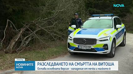 След нападение на турист от мечка: Разследването на трагедията продължава