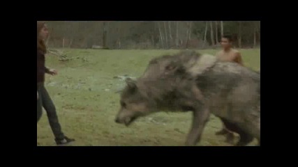 New Moon clip Official