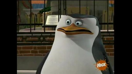 The Penguins of Madagascar - Two Feet High and Rising - bg sub