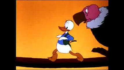 Walt Disney : Donald Duck - Contrary Condor.