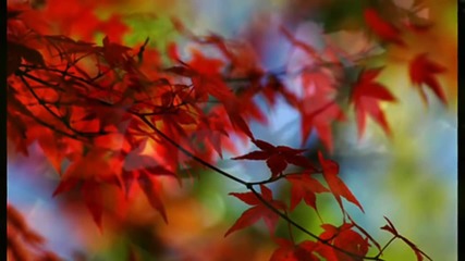 Autumn Day by Peter White