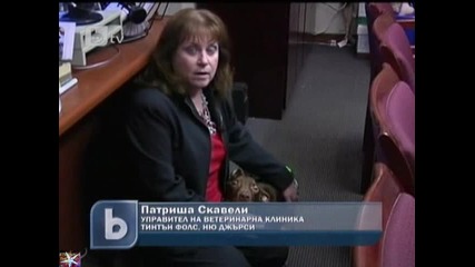 Фейсбук помогна на куче, b T V Новините, 07 април 2011