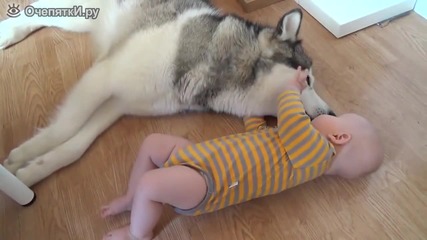 Хъски и бебе
