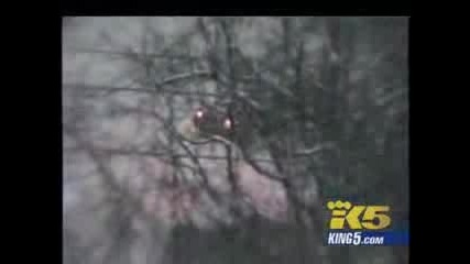 Real car crash