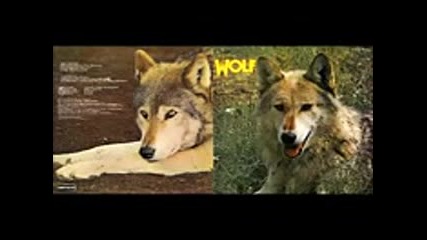 Darryl Way's Wolf - Canis Lupus(1973 Full Album )