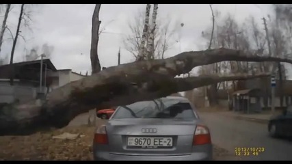 Опа...каква изненада !