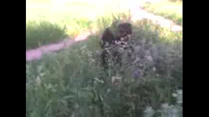 Ротвайлерът Ми Бък Се Жени