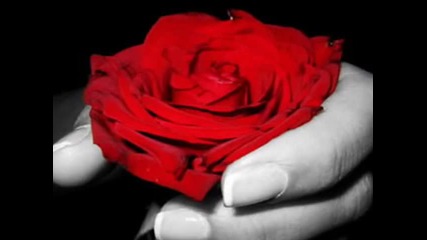 Black Everything s Coming Up Roses