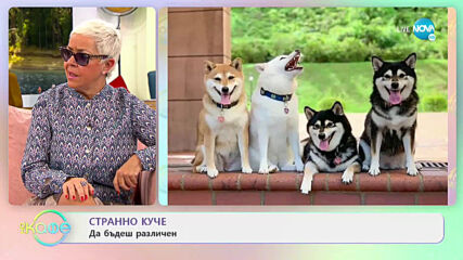 Странно куче- Да бъдеш различен - „На кафе” (19.03.2021)