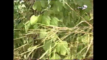 Yago y Morena - Parte 1