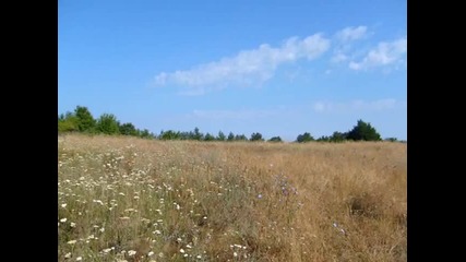 Ден след ден - Подуене блус бенд 