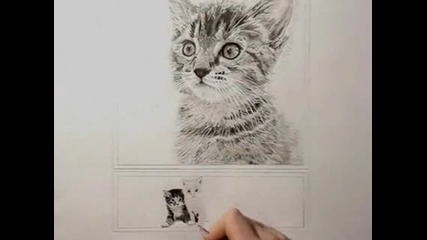Рисунка на котенце