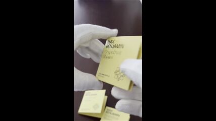 Max benjamin Reel.mov