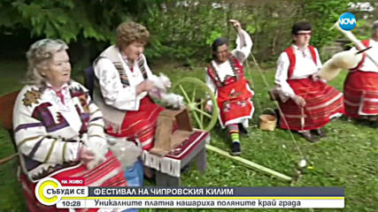 ФЕСТИВАЛ НА ЧИПРОВСКИТЕ КИЛИМИ: Уникални платна нашариха поляните край града