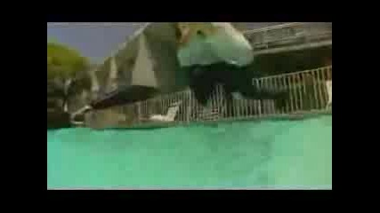 Lil Scrappy Ft. Lil Jon - Gangsta Gangsta