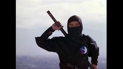 Ninja 