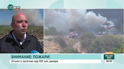 В плен на пожарите: Десетки хиляди декари изпепелени земи у нас (ОБЗОР)