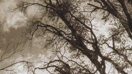 Moonshade - _goddess Eternal_ Official Lyric Video