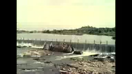 индийски 6