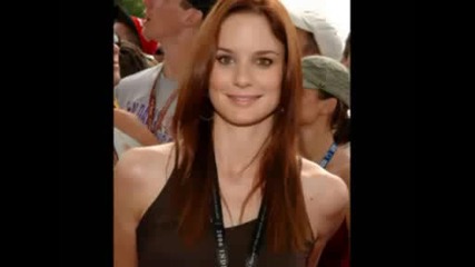 Sarah Wayne Callies
