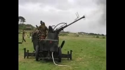 Иралндски 40мм Пво оръдия на полигон