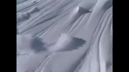 Extreme Sport