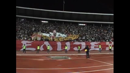 Delije na Zvezda - Ofk Beograd 2 1, 03.10.2009.