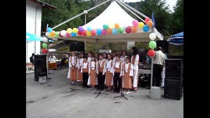 Празник на село Борово 2010 г. 