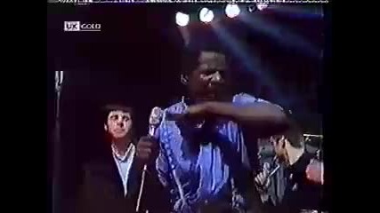 The Specials - Madness (live)