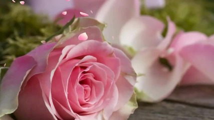 Розите са моята страст...(music Andre Rieu)... ...