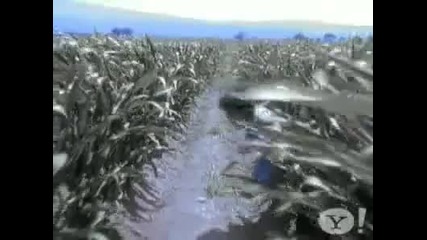 Joe Cocker - Simple things 