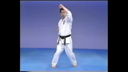 Kyokushin Karate Encyclopedia (iko1 - Matsui 8 Dan ) - 8