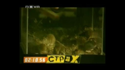 Страх Изпитание 2 Цар Плъх 10.09.2011
