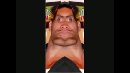 Wwe funny