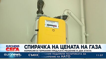 Спирачка на цената на газа: Комисия в Германия предлага решение на два етапа