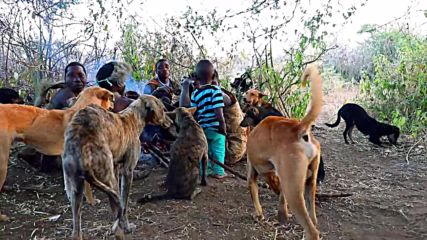 Танзания 2, Хадзабе- последните ловци на саваната (''Без багаж'', еп.185)
