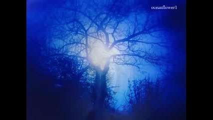 Fiona Joy Hawkins - Blue Dream 