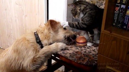 Закуската е моя!