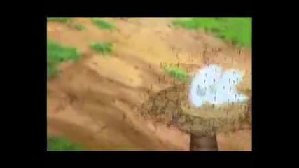 Naruto Vs Sasukie