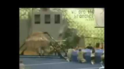 Funny Vid Compilation