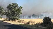 Частично бедствено положение в село Мъдрец заради голям пожар