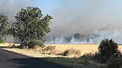 Частично бедствено положение в село Мъдрец заради голям пожар