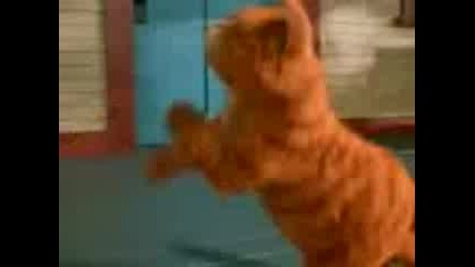 Garfield dance