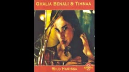 Wild Harissa - Divas