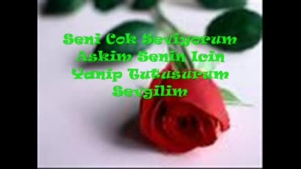 Can Ve Gunay