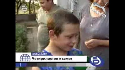 Бтв Новините - Четирилистен Късмет
