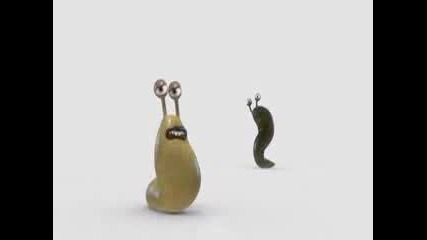 Dancing Slugs 
